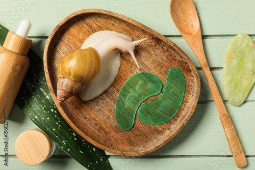 Tray, giant Achatina snail,...