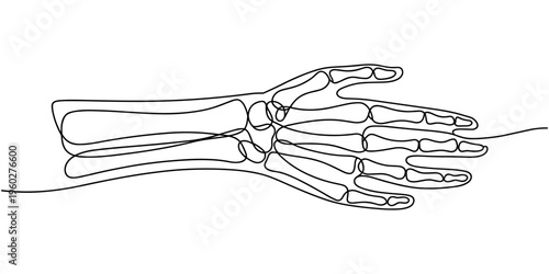 Continuous line drawing of hand skeleton, Black and white vector minimalist illustration, Continuous one line drawing bones of human hand. Wrist bones in single line art vector.