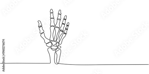 Continuous line drawing of hand skeleton, Black and white vector minimalist illustration, Continuous one line drawing bones of human hand. Wrist bones in single line art vector.