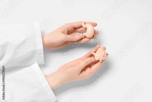 Female doctor's hands with ...