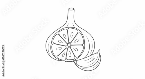 Outline drawing of a garlic bulb and single clove