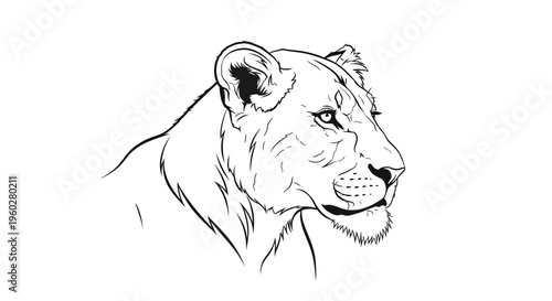 Lioness head profile black and white line art illustration