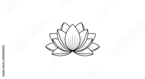 Black and white line art illustration of a beautiful lotus flower