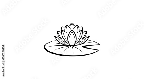 Black outline lotus flower on lily pad illustration
