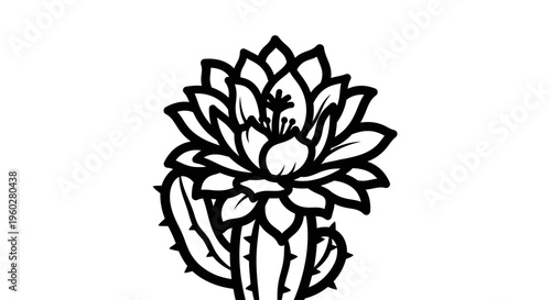 Black and white flowering cactus plant illustration