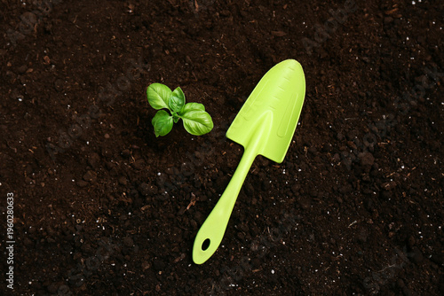 Plant seedling and gardenin...