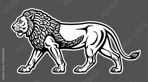 Lion Walking Side View Illustration.