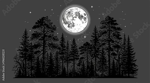 Moonlit Pine Forest Night Scene.