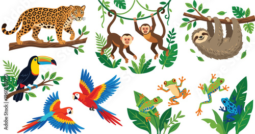 Tropical Jungle Animals Set Featuring Leopard, Monkeys, Sloth, Toucan, Parrots, and Frogs in Colorful Cartoon Style for Wildlife and Kids Designs