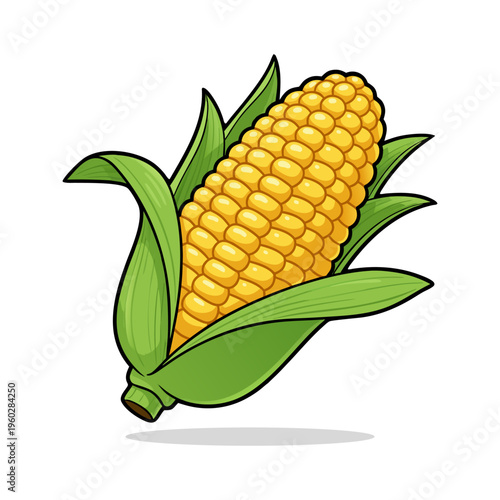 Detailed Corn Cob with Husk Farm Agriculture Food