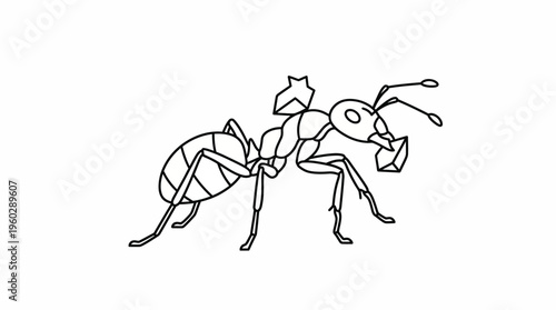 Simple Ant Insect Outline for Children's Learning, Isolated White Background