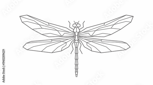 Detailed Dragonfly Outline Vector for Nature Education, Isolated White Background