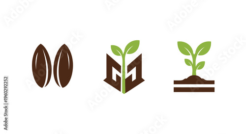 Seed to Plant Growth Stages Icon Set