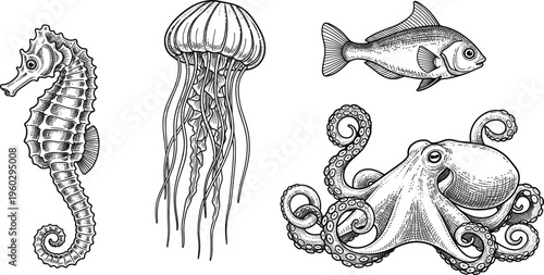 Marine Animals Engraving Illustration Set with Seahorse, Jellyfish, Fish, and Octopus, Vintage Ocean Wildlife Drawing, Detailed Hand Drawn Vector Collection