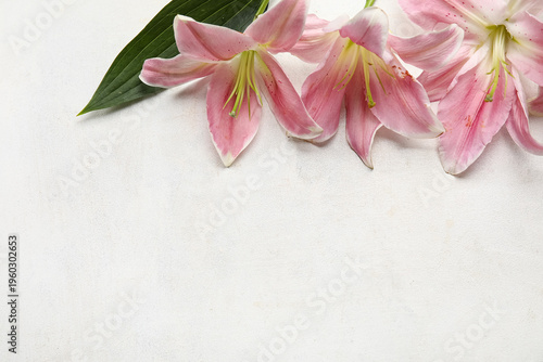 Beautiful lily flowers on l...
