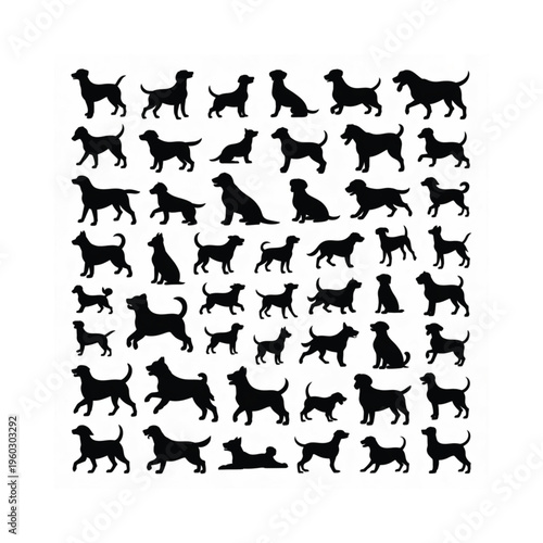 Black text on a white background displaying 1st May Labour Day