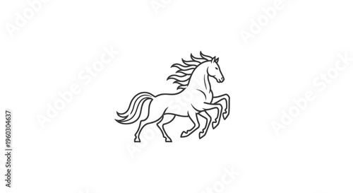 Elegant horse illustration, line art, white background, majestic animal