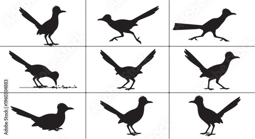 Set of greater roadrunner bird silhouettes in various poses including running, standing, and eating. Black desert wildlife silhouettes isolated on white background.