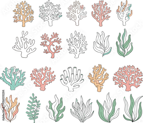 Coral and seaweed vector set with underwater reef plants, minimal marine elements collection isolated on white background illustration