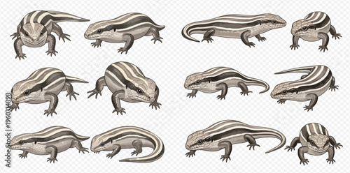 Set of cute striped lizards in various poses, isolated on a transparent background, perfect for educational materials or children's illustrations.