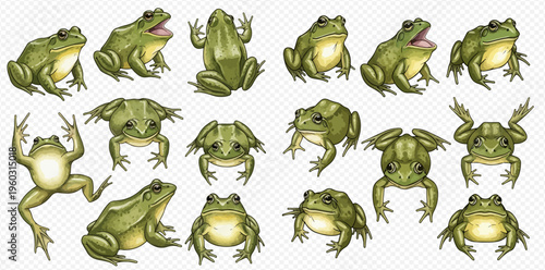 Collection of green frogs in various poses, showcasing different perspectives and actions of these amphibians.