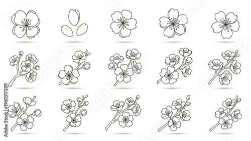Outline sakura flowers blossom set. hand drawn doodle sakura flower line icons collection. Realistic floral bloom for spring japanese or chinese design