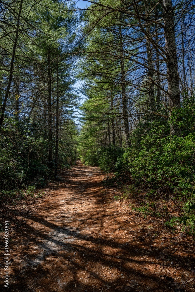 Obraz premium Panthertown Valley, Sapphire, NC