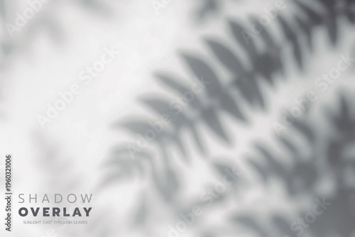 Artistic Shadow Projection of Leaves on White Paper Surface