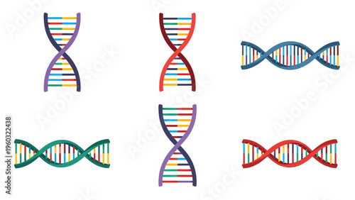 Colorful DNA Double Helix Structures Set for Genetic and Biological Concepts