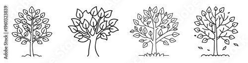 Four stylised handdrawn trees showing various stages of leaf abundance