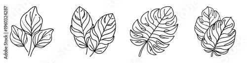 Black and white line art illustration featuring various tropical leaf arrangements