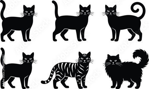 Set of six black cat silhouettes featuring different breeds like tabby and fluffy longhair with various tail shapes for feline designs