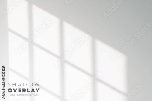 Cozy Room Wall with Abstract Light and Tree Branch Shadows