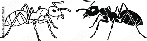Two ant silhouettes featuring one black and one outline isolated on white background for insect nature design vector illustration element.