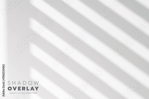 Cozy Room Wall with Abstract Light and Tree Branch Shadows