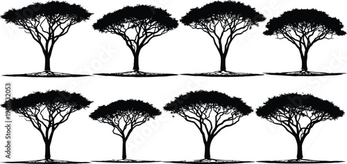 Vector collection of black tropical jungle silhouettes featuring palm trees, vines, and wild big cats for creative nature design projects