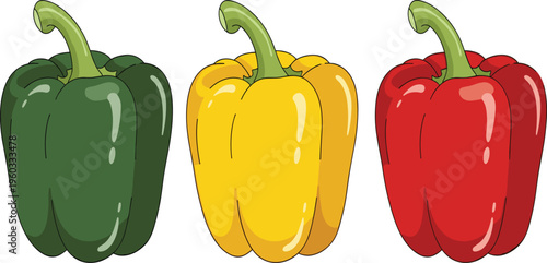 Vector illustration of three whole bell peppers in green yellow and red colors on a clean white background for food and healthy eating design
