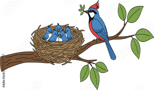 Vector, illustration, of, a, blue, bird, with, a, red, chest, bringing, food, to, chicks, in, a, nest, on, a, branch