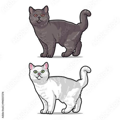 Vector illustration of two cute British Shorthair cats, one grey and one white, standing and smiling happily. Perfect for pet designs, cartoon projects, and animal-themed decorations.