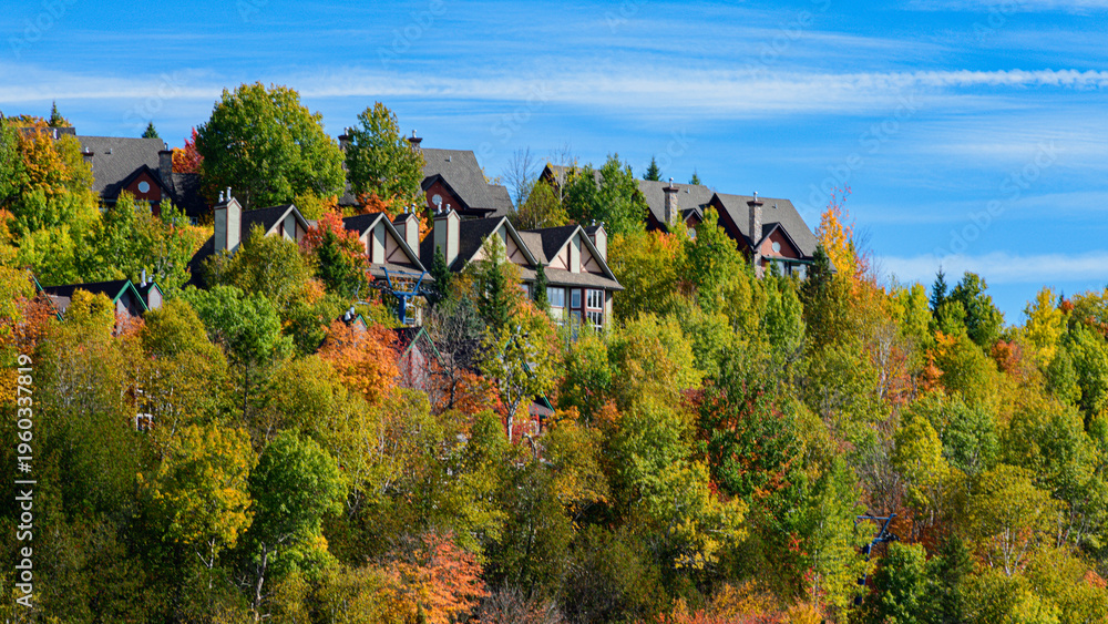 Naklejka premium Cluster of wooden chalet-style condominiums built into steep autumn-covered hillside at Mont Tremblant 