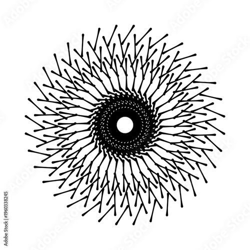 abstract sunburst design featuring radial black lines forming a circular burst pattern on a clean white background. This minimalist geometric illustration creates a dynamic sense of motion and energy,