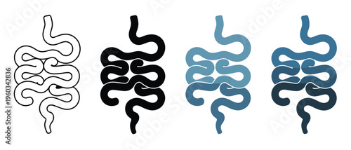 Simplified digestive tract illustration, vector graphics showing intestines and colon in various styles and colors, suitable for medical, educational, and healthcare design projects.