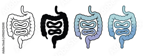 Digestive system vector set, stylized representations of intestines and colon with clean color variations, ideal for anatomy education, medical guides, and health illustrations.