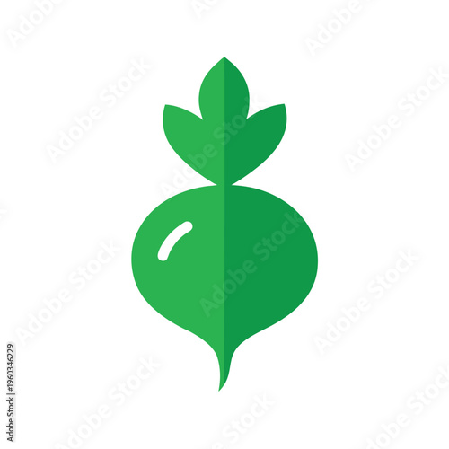 Fresh garden turnip or radish vegetable with leaves isolated on white background