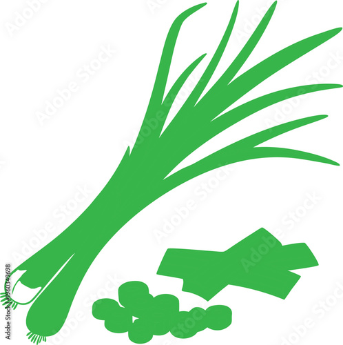 Green Onion Bunch with Bulb and Green Leaves Vector Graphic on white background