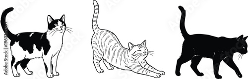 Detailed black and white line art coloring page for kids featuring a cute playful kitten in garden,