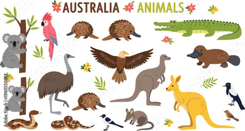 Large collection of cute Australian animals including kangaroo koala platypus echidna and emu vector illustrations for children education posters nature books and zoo branding