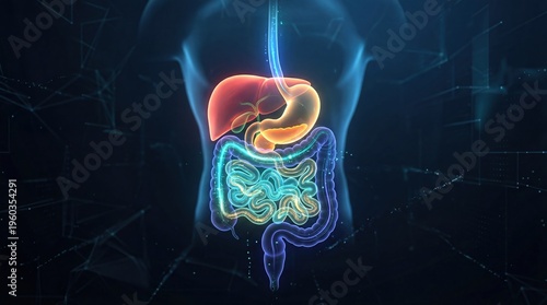 Glowing human digestive system pulses with vibrant colors