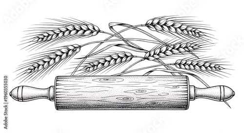 Hand drawn rolling pin and wheat ears vintage engraved style illustration of bakery equipment and cereal grain