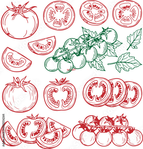 Tomato Set Outline Sketch Vector Illustration – Hand Drawn Food Elements